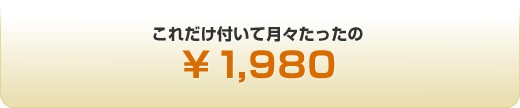 これだけ付いて月々たったの\1,980